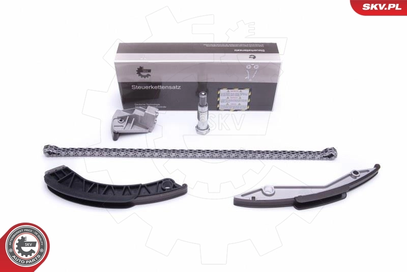 Timing Chain Kit